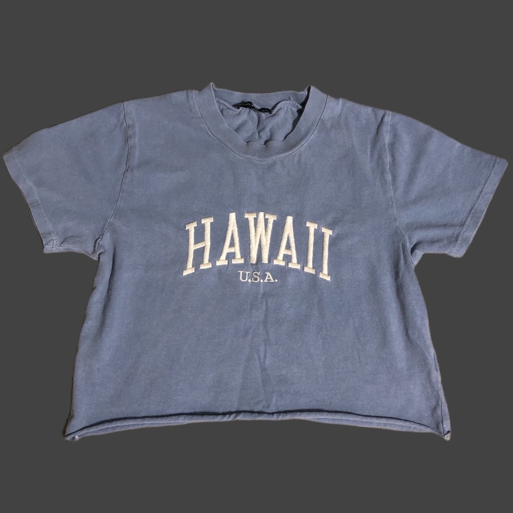 Sold - Brandy Melville Hawaii cropped tee